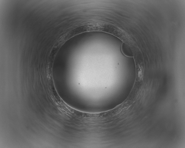 X0000076390819200610061148
