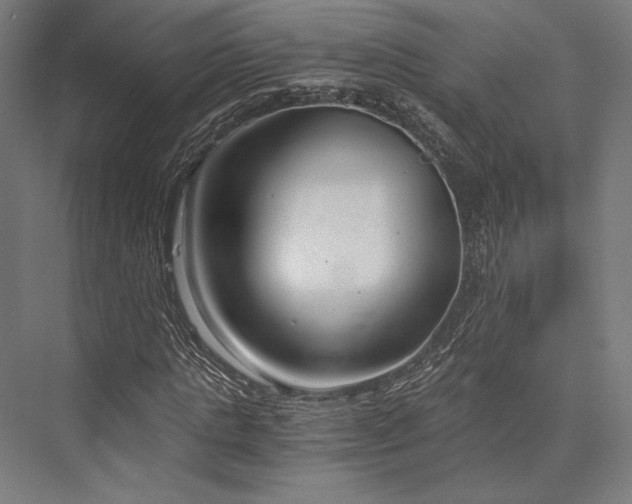 X0000076390821200610061148