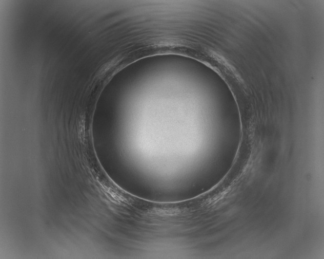 X0000076390825200610061148