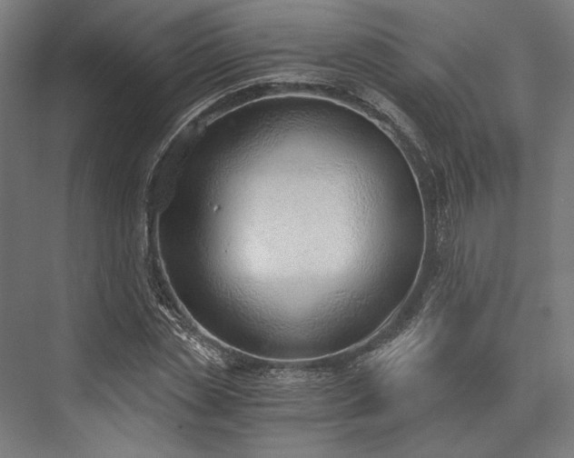 X0000076390829200610061148