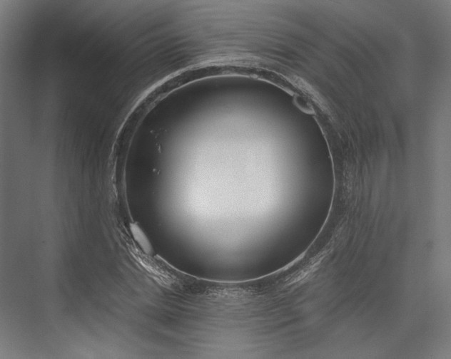 X0000076390830200610061148