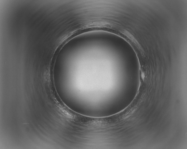 X0000076390834200610061148