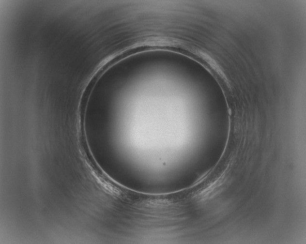 X0000076390837200610061148