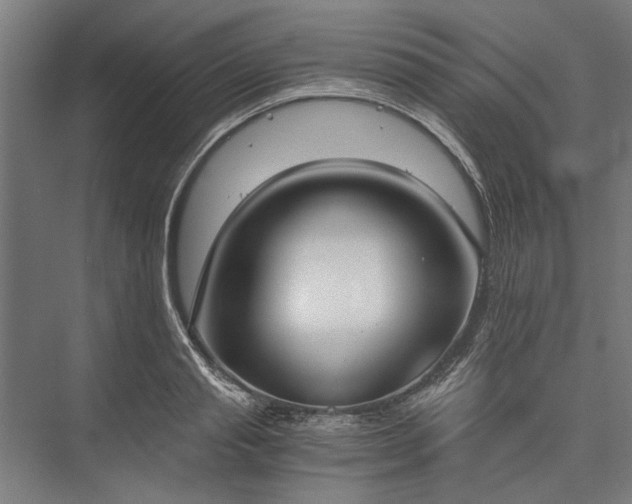 X0000076390845200610061148