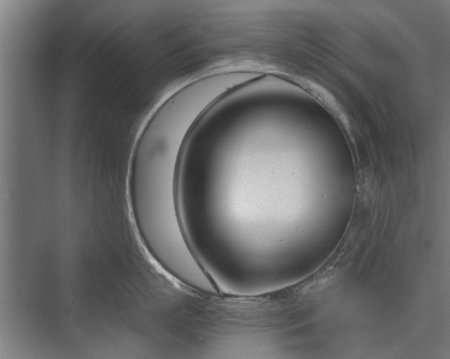 X0000076390863200610061149
