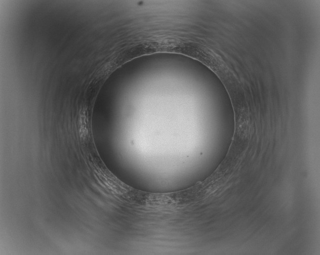 X0000076390866200610061148