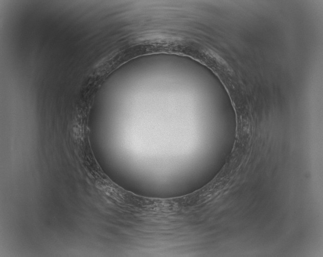 X0000076390869200610061148