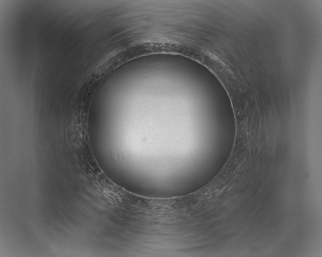 X0000076390870200610061148