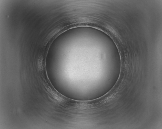 X0000076390873200610061148
