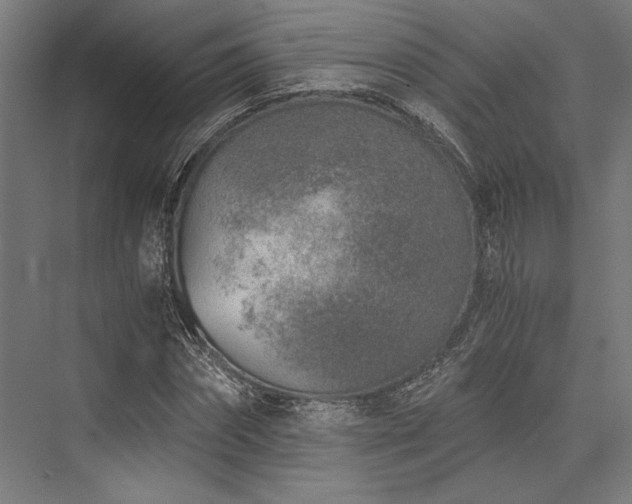 X0000076390874200610061148