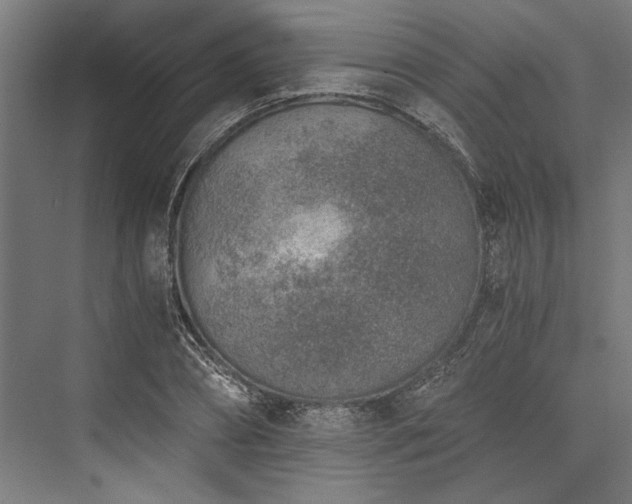 X0000076390882200610061148