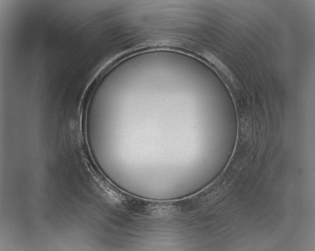 X0000076390886200610061148