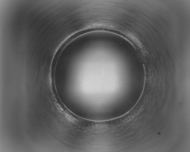 X0000076390888200610061148