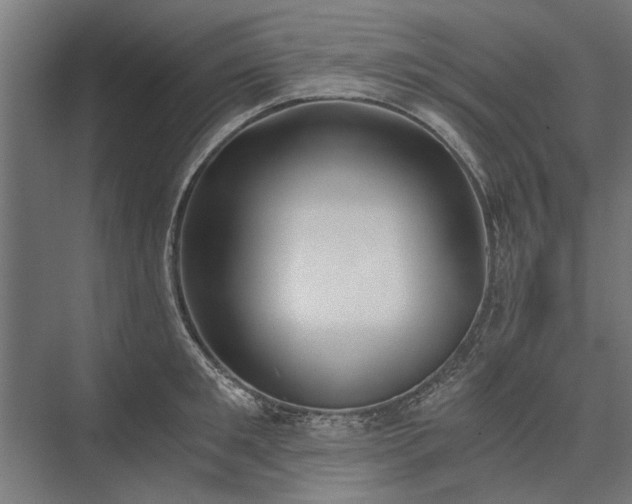 X0000076390901200610061147