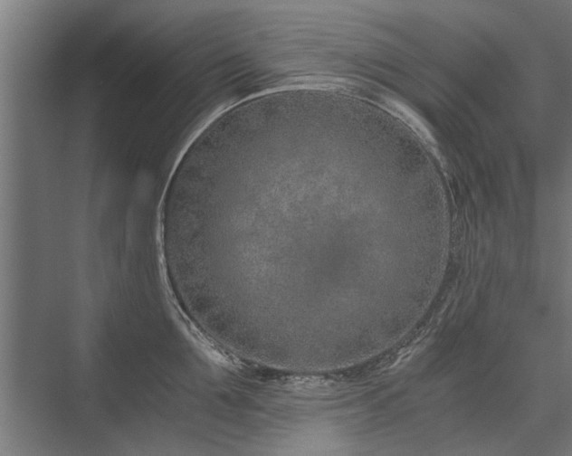 X0000076390907200610061147