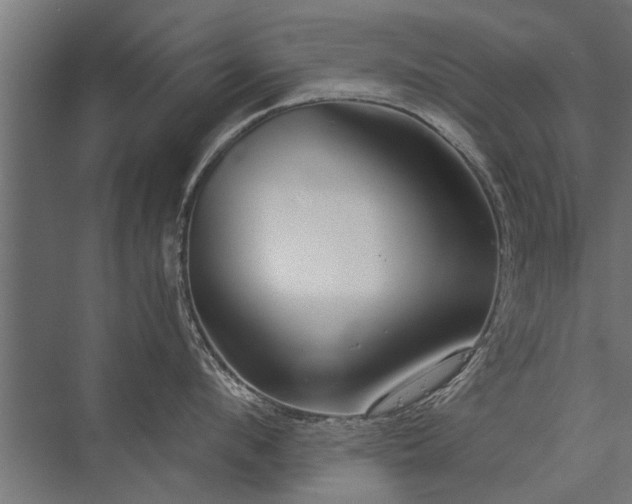 X0000076390912200610061147