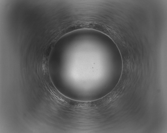 X0000076390914200610061146
