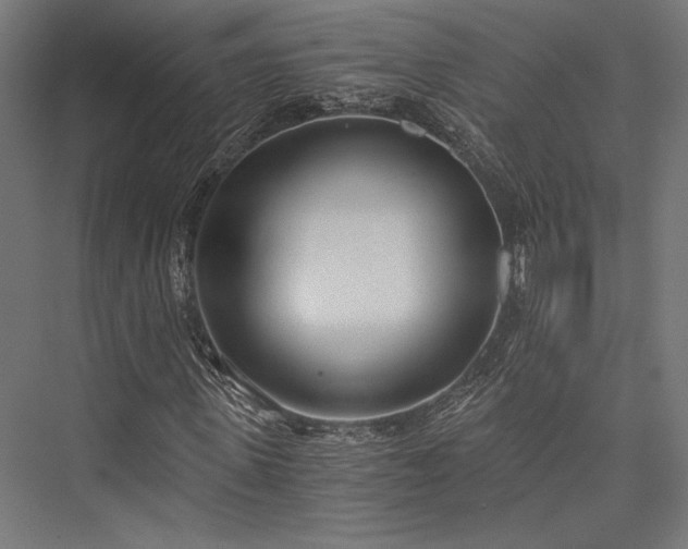 X0000076390915200610061146