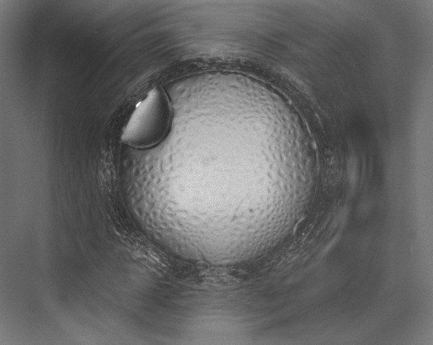 X0000076390918200610061146