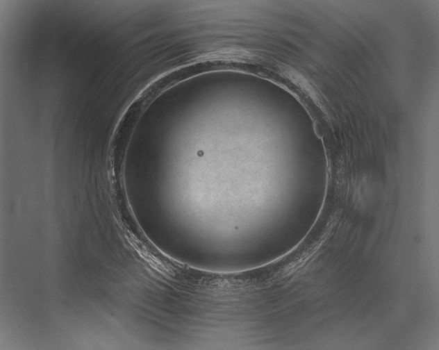 X0000076390923200610061147