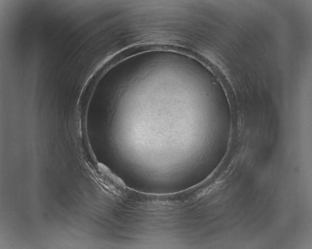X0000076390925200610061147