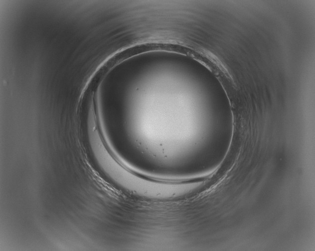X0000076390926200610061147