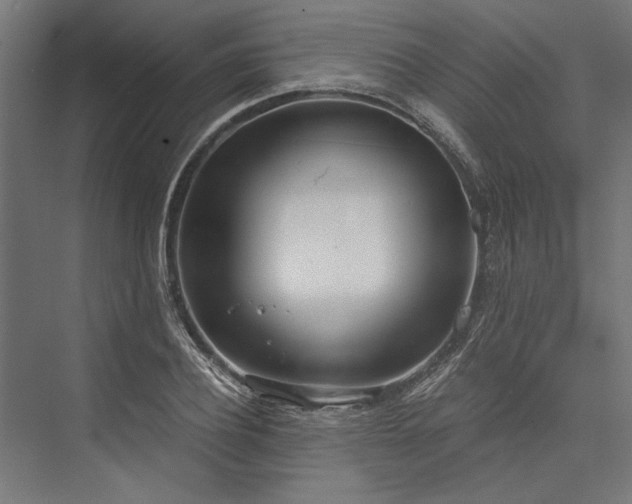 X0000076390932200610061147
