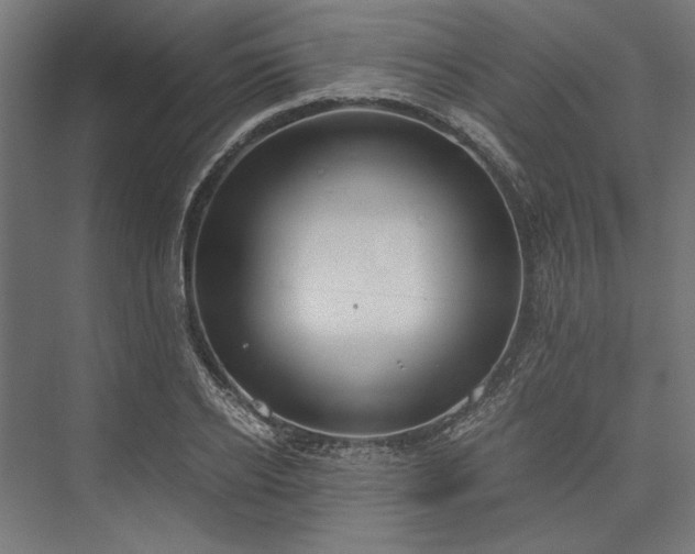 X0000076390934200610061147