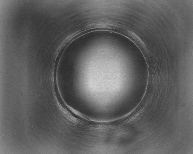 X0000076390938200610061147