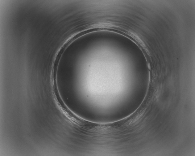 X0000076390939200610061147