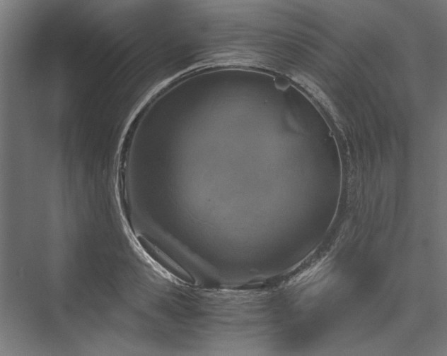 X0000076390941200610061147