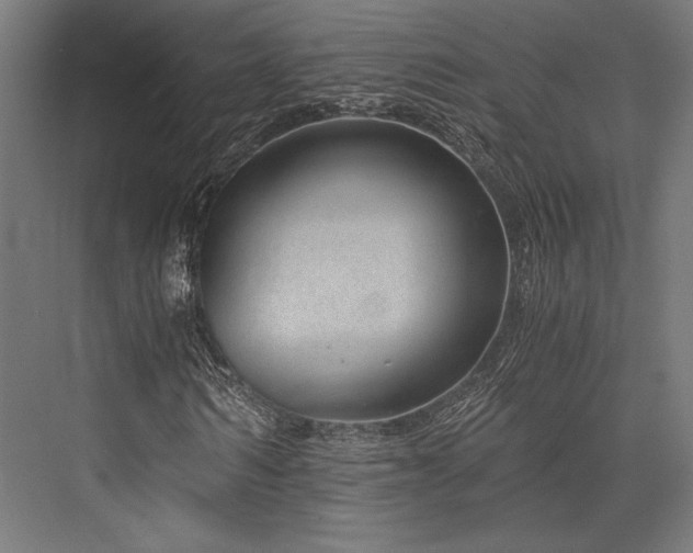 X0000076390962200610061146