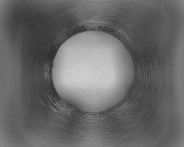 X0000076390964200610061146