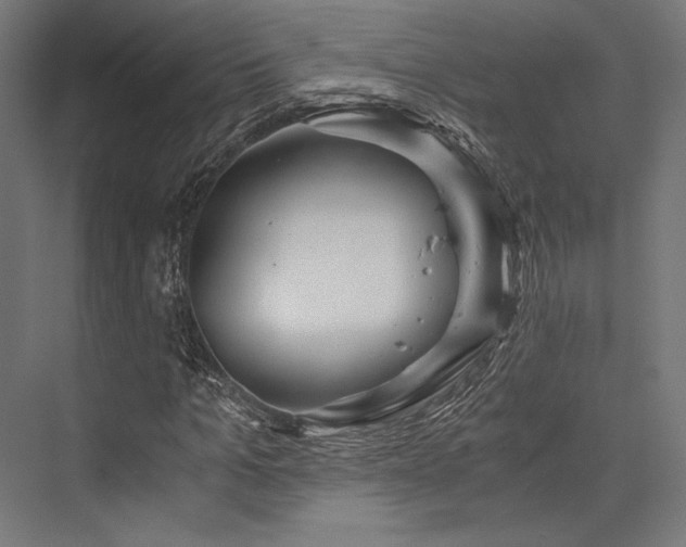 X0000076390965200610061146