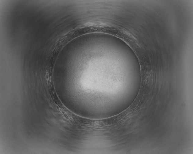 X0000076390966200610061146