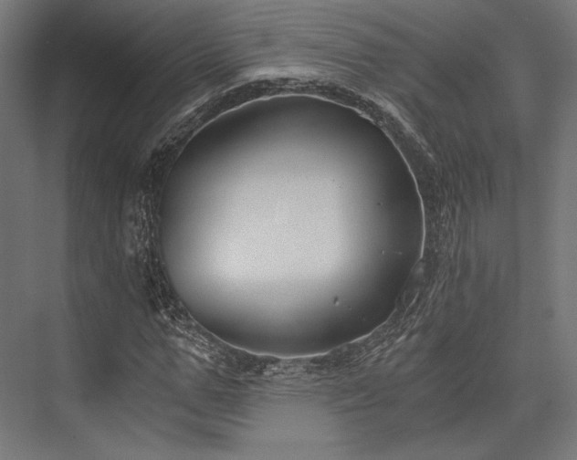 X0000076390967200610061146