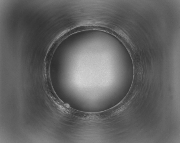 X0000076390974200610061146