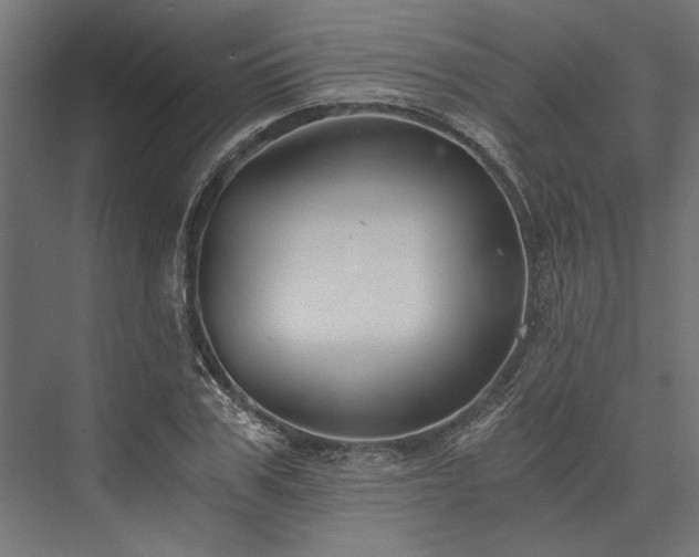 X0000076390979200610061146
