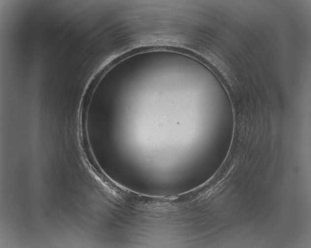 X0000076390982200610061146