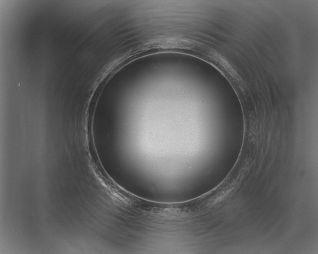 X0000076390986200610061146
