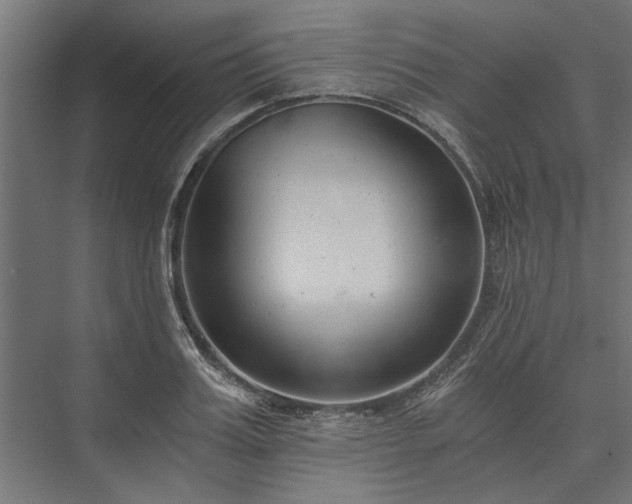 X0000076390987200610061146