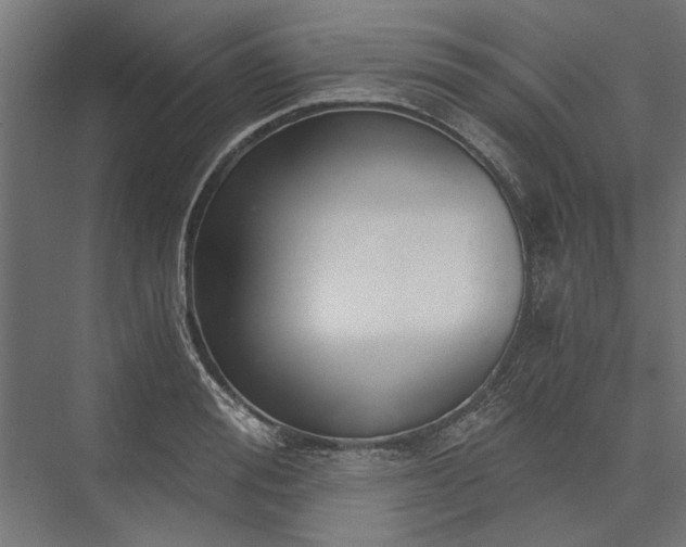 X0000076390988200610061146