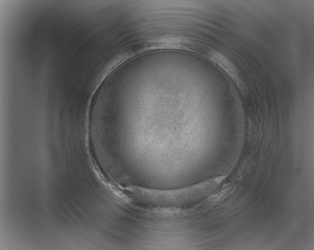 X0000076390994200610061146