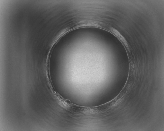 X0000076391002200610061146
