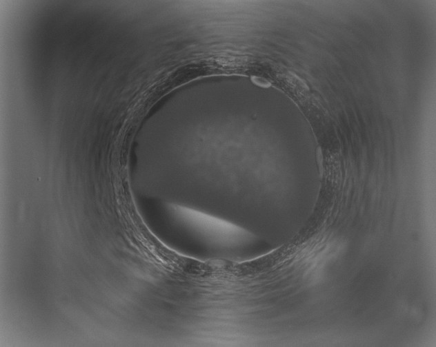 X0000076391009200610061145