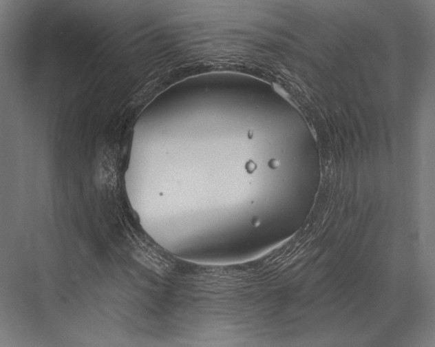 X0000076391012200610061145