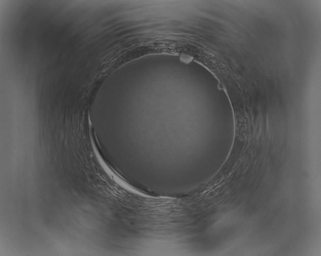 X0000076391013200610061145