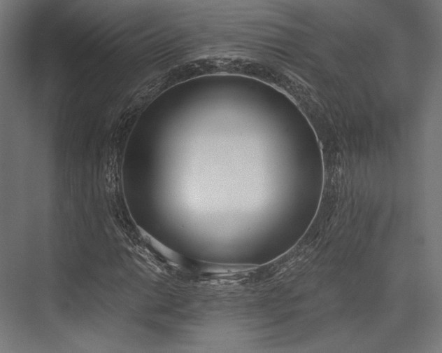 X0000076391014200610061145