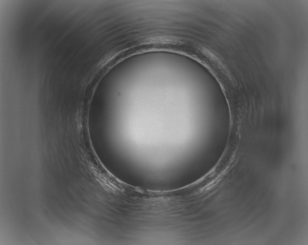 X0000076391017200610061145