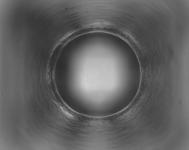 X0000076391018200610061145